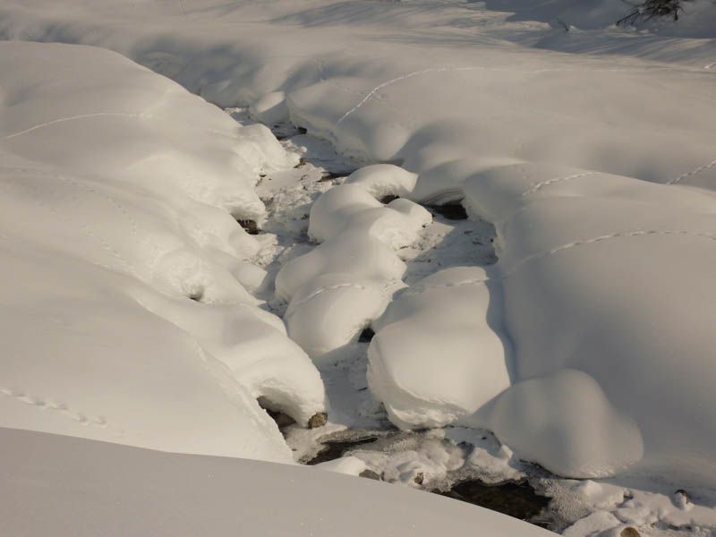 Genusstouren Anfänger Schneeschuhgehen Chiemgau Chiemsee  Frasdorfer Hütte Haindorfer Berg Schneeschuhgehen zum Kennenlernen Bergführer Schneeschuhtouren